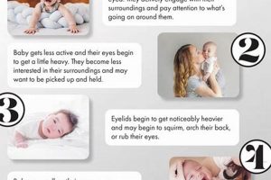 Baby Lethargy: Causes, Signs & When to Worry in Babies | Baby Care 101: Essential Tips for Happy, Healthy Babies