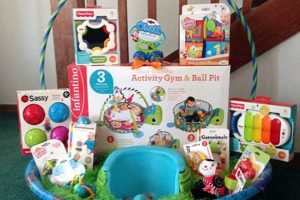 Boy's First Easter Basket Ideas: Baby Boy Easter Basket | Baby Care 101: Essential Tips for Happy, Healthy Babies