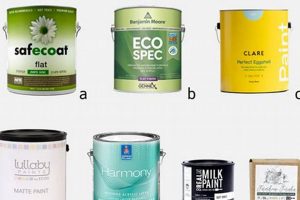 Safe Start: Non Toxic Paint for Babies' Rooms! Baby Care 101: Essential Tips for Happy, Healthy Babies Safe Start: Non Toxic Paint for Babies' Rooms! | Baby Care 101: Essential Tips for Happy, Healthy Babies