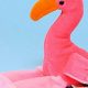 Rare Flamingo Beanie Baby: Collectible Guide & Value | Baby Care 101: Essential Tips for Happy, Healthy Babies