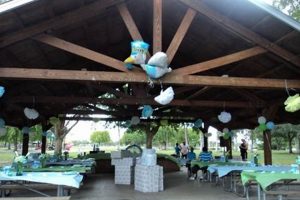 Outdoor Park Baby Shower Ideas: A Complete Guide Baby Care 101: Essential Tips for Happy, Healthy Babies Outdoor Park Baby Shower Ideas: A Complete Guide | Baby Care 101: Essential Tips for Happy, Healthy Babies
