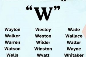 Understanding W Baby: Care Tips for Fragile Newborns Baby Care 101: Essential Tips for Happy, Healthy Babies Understanding W Baby: Care Tips for Fragile Newborns | Baby Care 101: Essential Tips for Happy, Healthy Babies