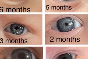 Baby's First Gaze: When Do Babies Start Making Eye Contact? | Baby Care 101: Essential Tips for Happy, Healthy Babies