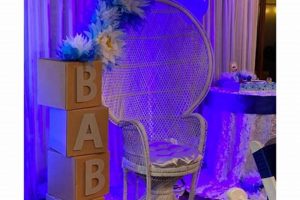 Comfy Baby Shower Chair Rentals Near You + More! | Baby Care 101: Essential Tips for Happy, Healthy Babies