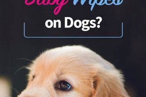 Baby's Out! Can I Use Baby Wipes on My Dog? Safe Guide Baby Care 101: Essential Tips for Happy, Healthy Babies Baby's Out! Can I Use Baby Wipes on My Dog? Safe Guide | Baby Care 101: Essential Tips for Happy, Healthy Babies