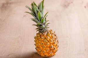 Tiny Treasures: Ananas Ananas Baby Green Ont Secrets Baby Care 101: Essential Tips for Happy, Healthy Babies Tiny Treasures: Ananas Ananas Baby Green Ont Secrets | Baby Care 101: Essential Tips for Happy, Healthy Babies