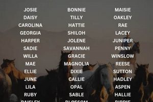 Top Western Baby Names: Origins & Trends | Baby Care 101: Essential Tips for Happy, Healthy Babies