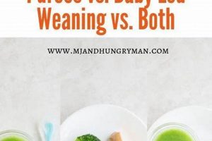 Purees vs. Baby-Led Weaning: Which is Best for Your Baby? | Baby Care 101: Essential Tips for Happy, Healthy Babies