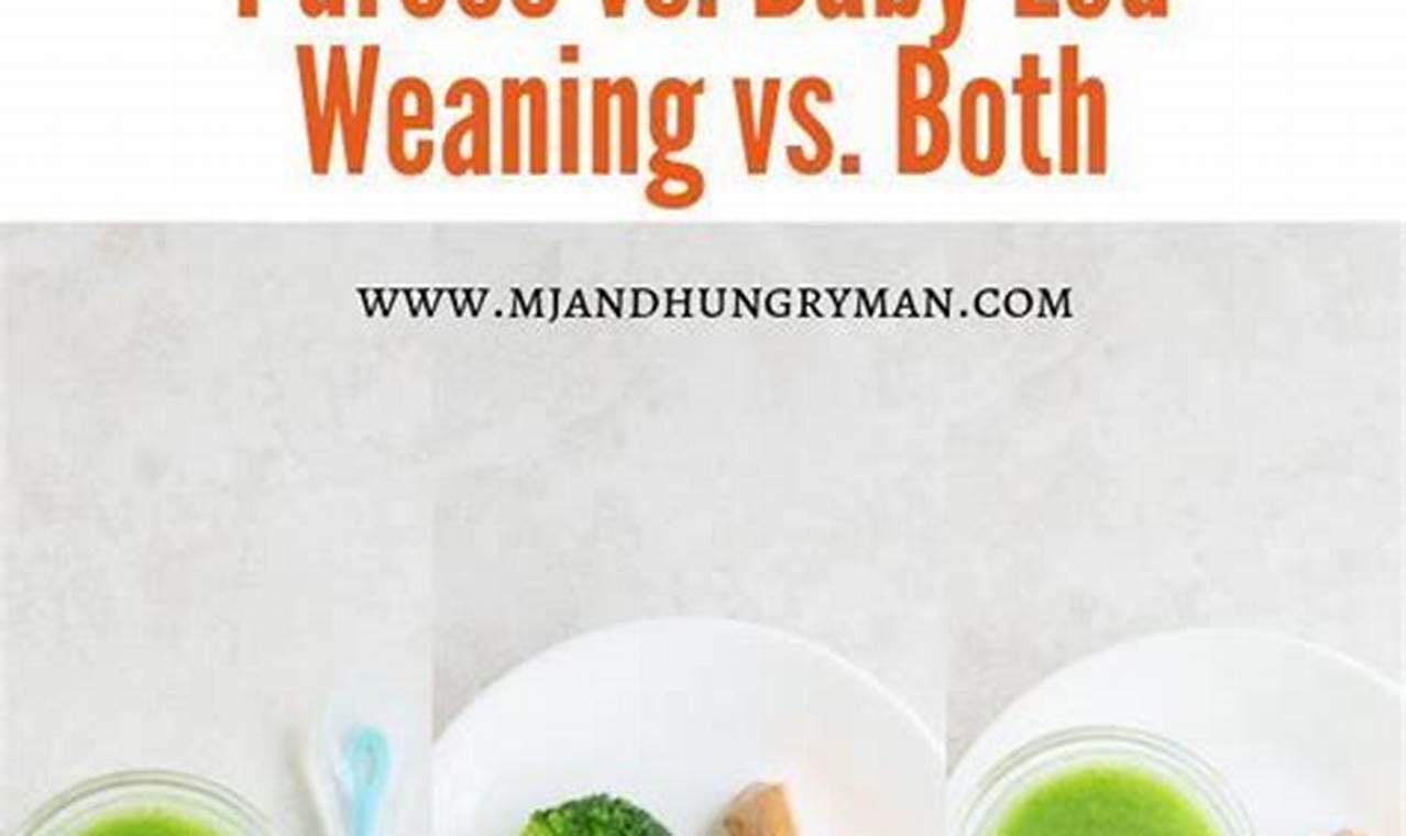Purees vs. Baby-Led Weaning: Which is Best for Your Baby? Baby Care 101: Essential Tips for Happy, Healthy Babies Purees vs. Baby-Led Weaning: Which is Best for Your Baby? | Baby Care 101: Essential Tips for Happy, Healthy Babies