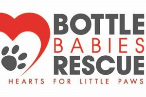 Bottle Feeding & Rescue: Caring for Bottle Babies Baby Care 101: Essential Tips for Happy, Healthy Babies Bottle Feeding & Rescue: Caring for Bottle Babies | Baby Care 101: Essential Tips for Happy, Healthy Babies