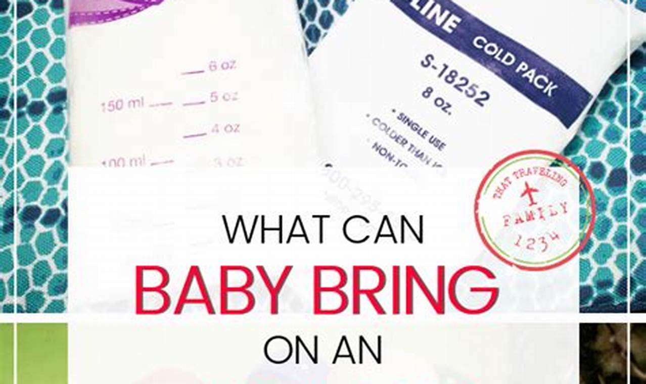 Baby Food Travel: Can You Bring Food on a Plane? - Tips | Baby Care 101: Essential Tips for Happy, Healthy Babies