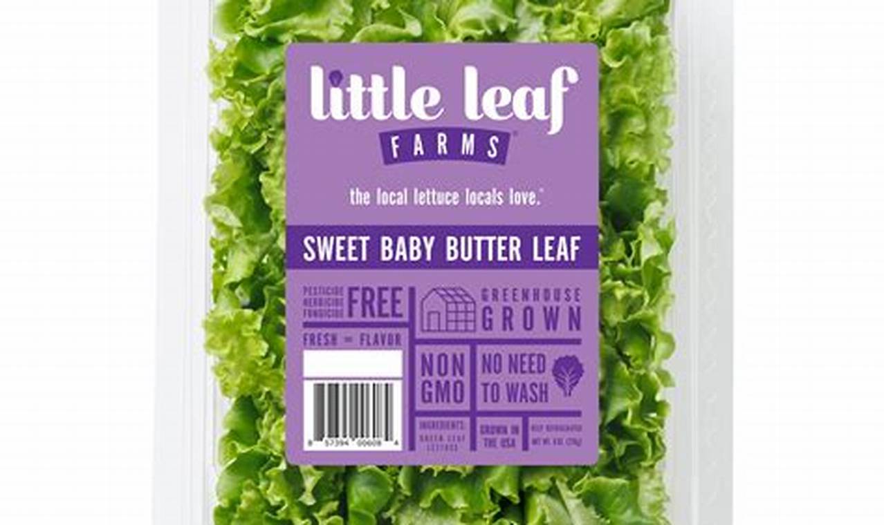 Tiny Treat: Baby Butter Lettuce Benefits for Baby & You | Baby Care 101: Essential Tips for Happy, Healthy Babies