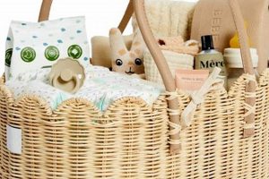 Best Baby Caddy: Organize &amp; Go! | Baby Care 101: Essential Tips for Happy, Healthy Babies