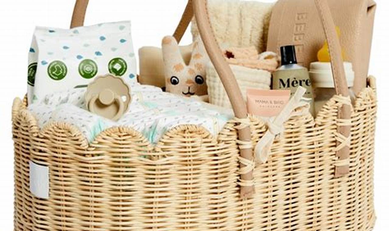 Best Baby Caddy: Organize &amp; Go! | Baby Care 101: Essential Tips for Happy, Healthy Babies