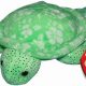 Collectible Turtle Beanie Baby: Values & More! | Baby Care 101: Essential Tips for Happy, Healthy Babies