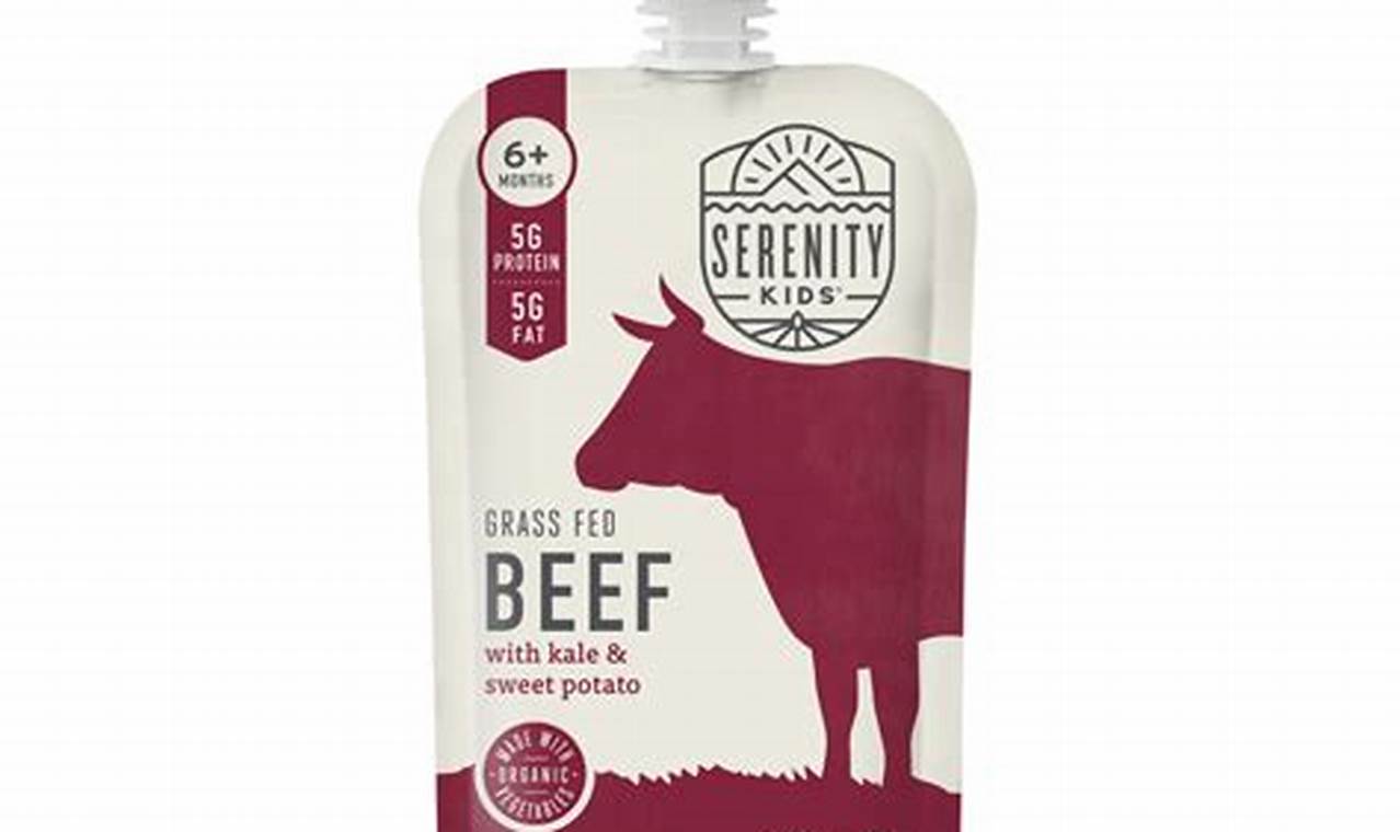 Best Beef Baby Food: Recipes & Safety Tips! Baby Care 101: Essential Tips for Happy, Healthy Babies Best Beef Baby Food: Recipes & Safety Tips! | Baby Care 101: Essential Tips for Happy, Healthy Babies