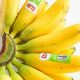 Tiny Treats: Exploring the Sweet World of Baby Bananas | Baby Care 101: Essential Tips for Happy, Healthy Babies