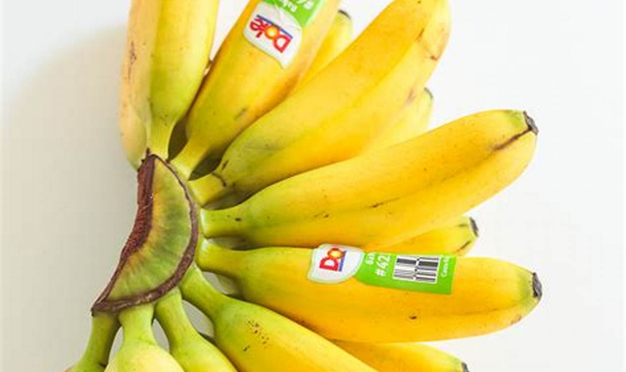 Tiny Treats: Exploring the Sweet World of Baby Bananas Baby Care 101: Essential Tips for Happy, Healthy Babies Tiny Treats: Exploring the Sweet World of Baby Bananas | Baby Care 101: Essential Tips for Happy, Healthy Babies