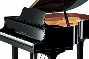Best Yamaha Baby Grand Piano: Prices & Guide for Musicians | Baby Care 101: Essential Tips for Happy, Healthy Babies