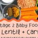 Easy Lentil Baby Food Recipe: Nutritious & Delicious! | Baby Care 101: Essential Tips for Happy, Healthy Babies