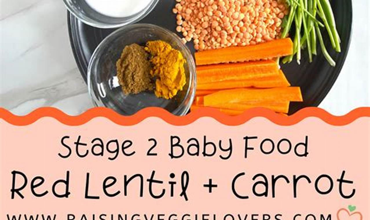 Easy Lentil Baby Food Recipe: Nutritious & Delicious! Baby Care 101: Essential Tips for Happy, Healthy Babies Easy Lentil Baby Food Recipe: Nutritious & Delicious! | Baby Care 101: Essential Tips for Happy, Healthy Babies