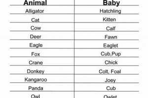 Test Your Knowledge: Baby Animal Names Quiz Fun! | Baby Care 101: Essential Tips for Happy, Healthy Babies
