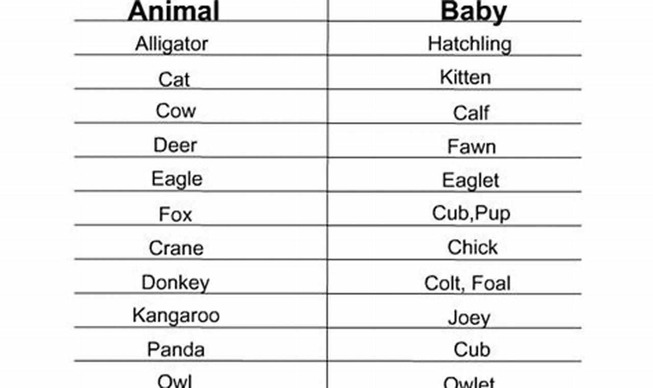 Test Your Knowledge: Baby Animal Names Quiz Fun! | Baby Care 101: Essential Tips for Happy, Healthy Babies