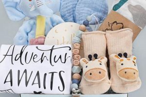 Unique Boy Baby Gifts: Ideas & Presents He'll Love | Baby Care 101: Essential Tips for Happy, Healthy Babies