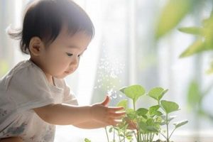 Nurturing Seed Babies: A Guide to Seedling Success Baby Care 101: Essential Tips for Happy, Healthy Babies Nurturing Seed Babies: A Guide to Seedling Success | Baby Care 101: Essential Tips for Happy, Healthy Babies