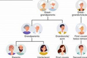 Cousin's Baby: Your Family Role + What Is Your Cousins Baby To You? Baby Care 101: Essential Tips for Happy, Healthy Babies Cousin's Baby: Your Family Role + What Is Your Cousins Baby To You? | Baby Care 101: Essential Tips for Happy, Healthy Babies