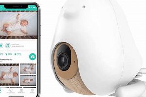 Top Baby Monitors 2025: The Best [Buyer's Guide] | Baby Care 101: Essential Tips for Happy, Healthy Babies