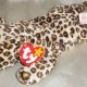 Collecting Freckles Beanie Baby: Values & Rarities | Baby Care 101: Essential Tips for Happy, Healthy Babies