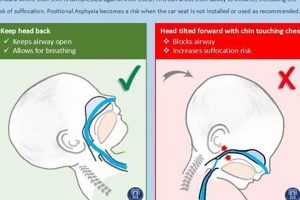 Positional Asphyxiation Baby: Safe Sleep Tips for Infants | Baby Care 101: Essential Tips for Happy, Healthy Babies