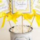 Shine Bright! You Are My Sunshine Baby Shower Ideas | Baby Care 101: Essential Tips for Happy, Healthy Babies