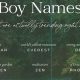 Nature's Touch: Outdoorsy Baby Names + Meanings | Baby Care 101: Essential Tips for Happy, Healthy Babies