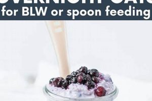 Easy Overnight Oats for Baby: Healthy & Delicious! | Baby Care 101: Essential Tips for Happy, Healthy Babies