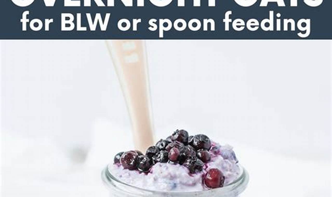 Easy Overnight Oats for Baby: Healthy & Delicious! | Baby Care 101: Essential Tips for Happy, Healthy Babies