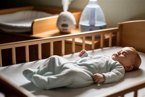 Help! Baby Won't Sleep Without Being Held (6 Months+ Tips) | Baby Care 101: Essential Tips for Happy, Healthy Babies