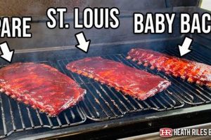 Baby Back Ribs VS St Louis Ribs: Rib Showdown! | Baby Care 101: Essential Tips for Happy, Healthy Babies