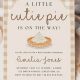 Cute & Classy: A Little Cutie Baby Shower Invitations | Baby Care 101: Essential Tips for Happy, Healthy Babies