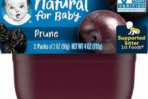 Best Gerber Plum Baby Food: Nutritious & Delicious! | Baby Care 101: Essential Tips for Happy, Healthy Babies