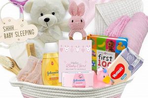Adorable Newborn Baby Girl Gift Baskets: The Perfect Gift | Baby Care 101: Essential Tips for Happy, Healthy Babies