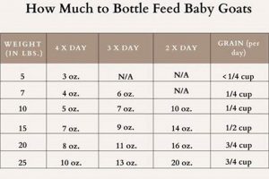 Bottle Baby Goats: How Often to Feed Them? Guide Baby Care 101: Essential Tips for Happy, Healthy Babies Bottle Baby Goats: How Often to Feed Them? Guide | Baby Care 101: Essential Tips for Happy, Healthy Babies