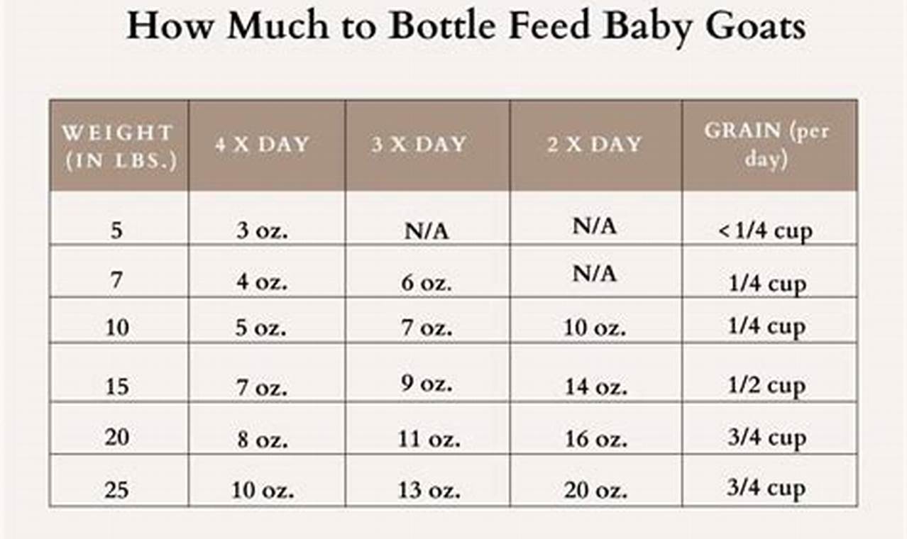 Bottle Baby Goats: How Often to Feed Them? Guide Baby Care 101: Essential Tips for Happy, Healthy Babies Bottle Baby Goats: How Often to Feed Them? Guide | Baby Care 101: Essential Tips for Happy, Healthy Babies
