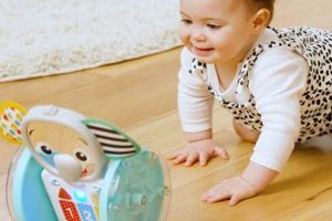 Boost Baby Brains: The Baby Einstein Chase & Beyond Baby Care 101: Essential Tips for Happy, Healthy Babies Boost Baby Brains: The Baby Einstein Chase & Beyond | Baby Care 101: Essential Tips for Happy, Healthy Babies