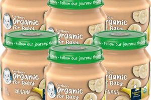 Best Wegmans Baby Food: Nutritious Choices & More | Baby Care 101: Essential Tips for Happy, Healthy Babies