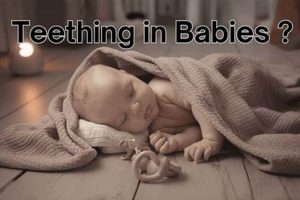 Teething & Sleep: Do Teething Babies Sleep *More*? | Baby Care 101: Essential Tips for Happy, Healthy Babies