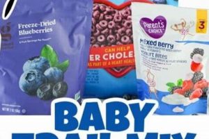 Healthy Baby Trail Mix: Recipes & Safety Tips | Baby Care 101: Essential Tips for Happy, Healthy Babies
