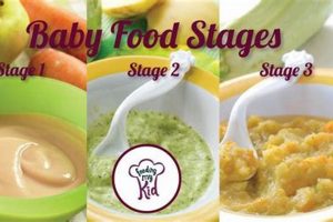 Stage 3 Baby Food Guide: Recipes, Tips &amp; More | Baby Care 101: Essential Tips for Happy, Healthy Babies