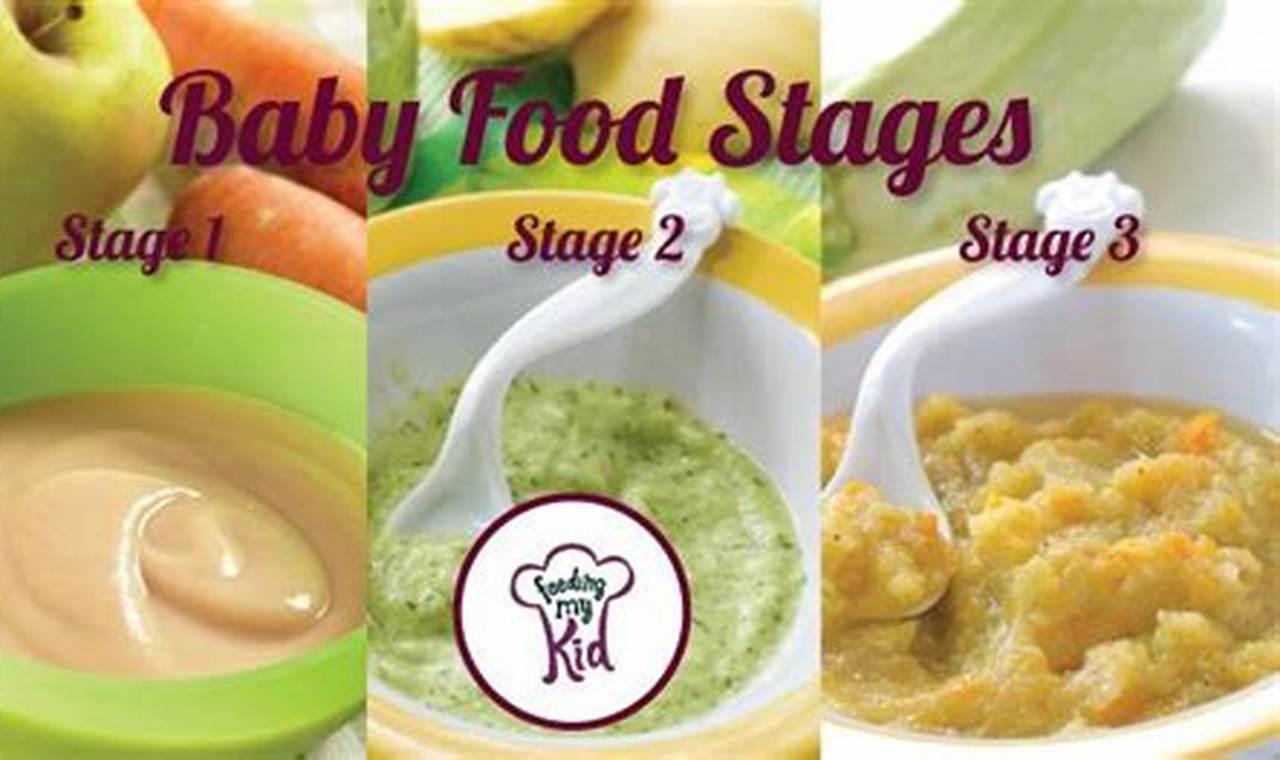 Stage 3 Baby Food Guide: Recipes, Tips &amp; More | Baby Care 101: Essential Tips for Happy, Healthy Babies